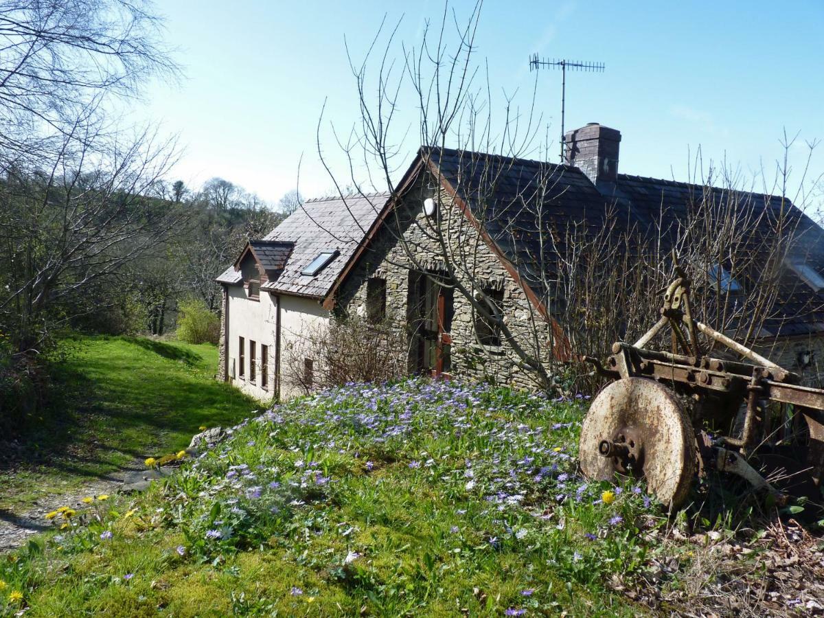 Ceridwen Holiday Homes Llandysul Dış mekan fotoğraf